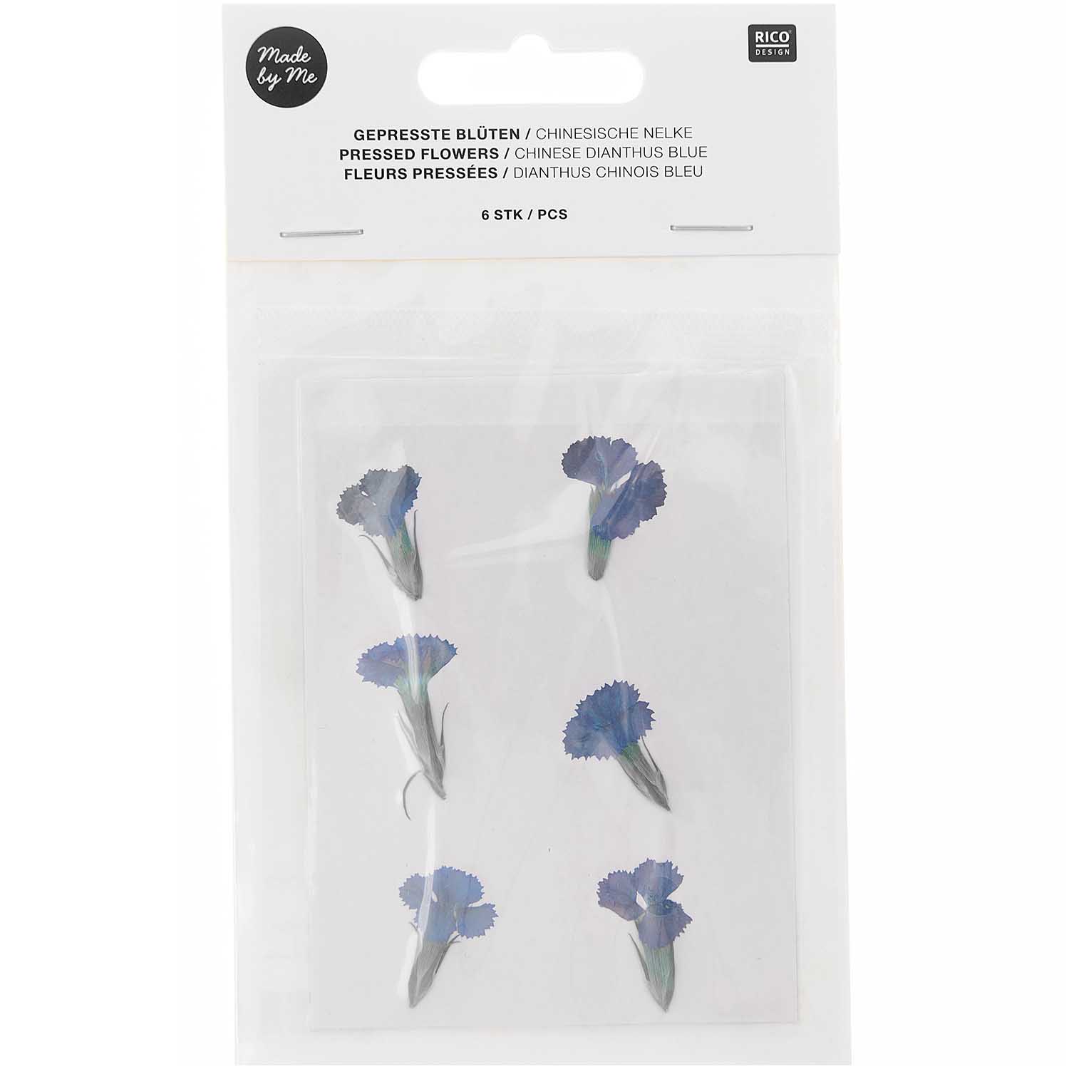 Gepresste Blüten Chinesische Nelke blau 6Stk. ca. 2,5cm