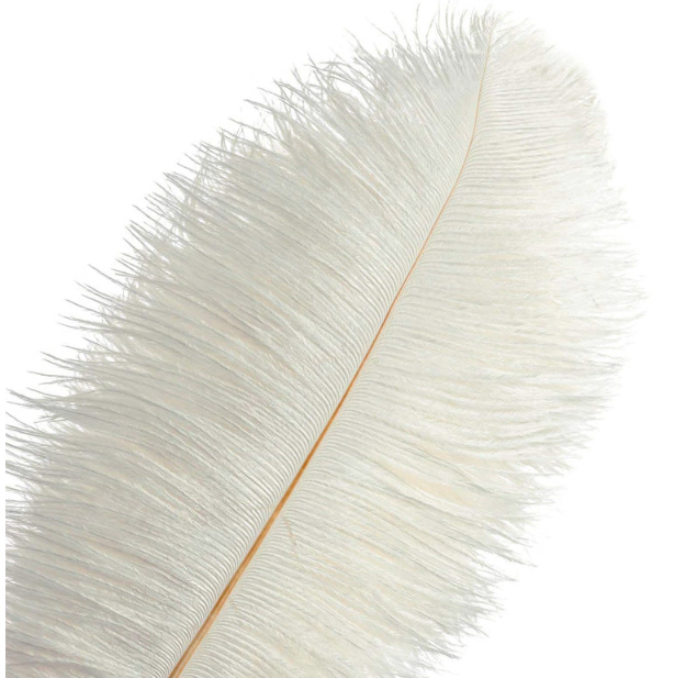 Straußenfeder weiß 40-45cm lang, per Stück