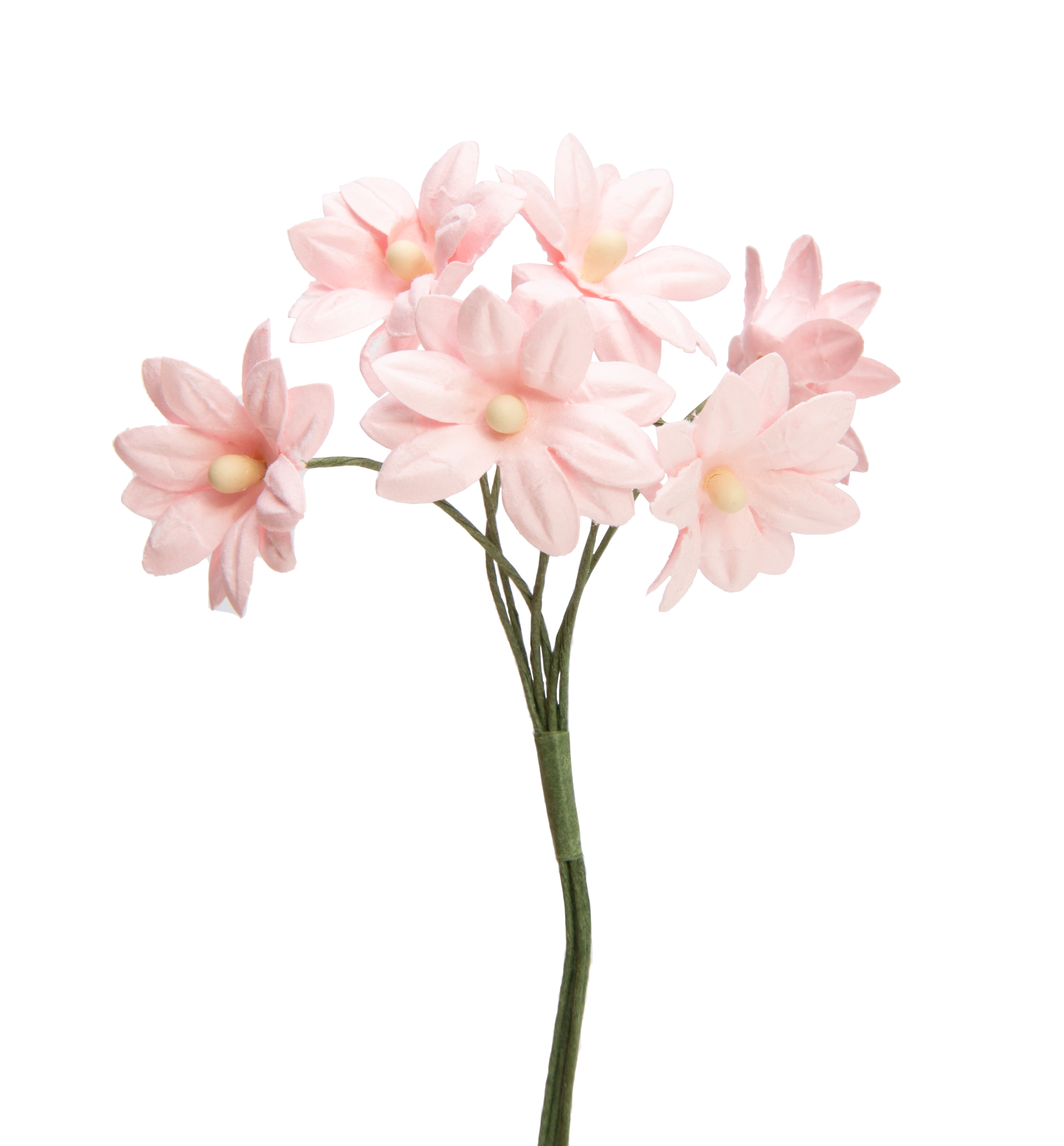 Schönauge Blüte aus Papier ⌀ 23 mm Drahtstiel 6 Stück/ Bund Schönauge Blüte aus Papier ⌀ 23 mm Drahtstiel 6 Stück/ Bund