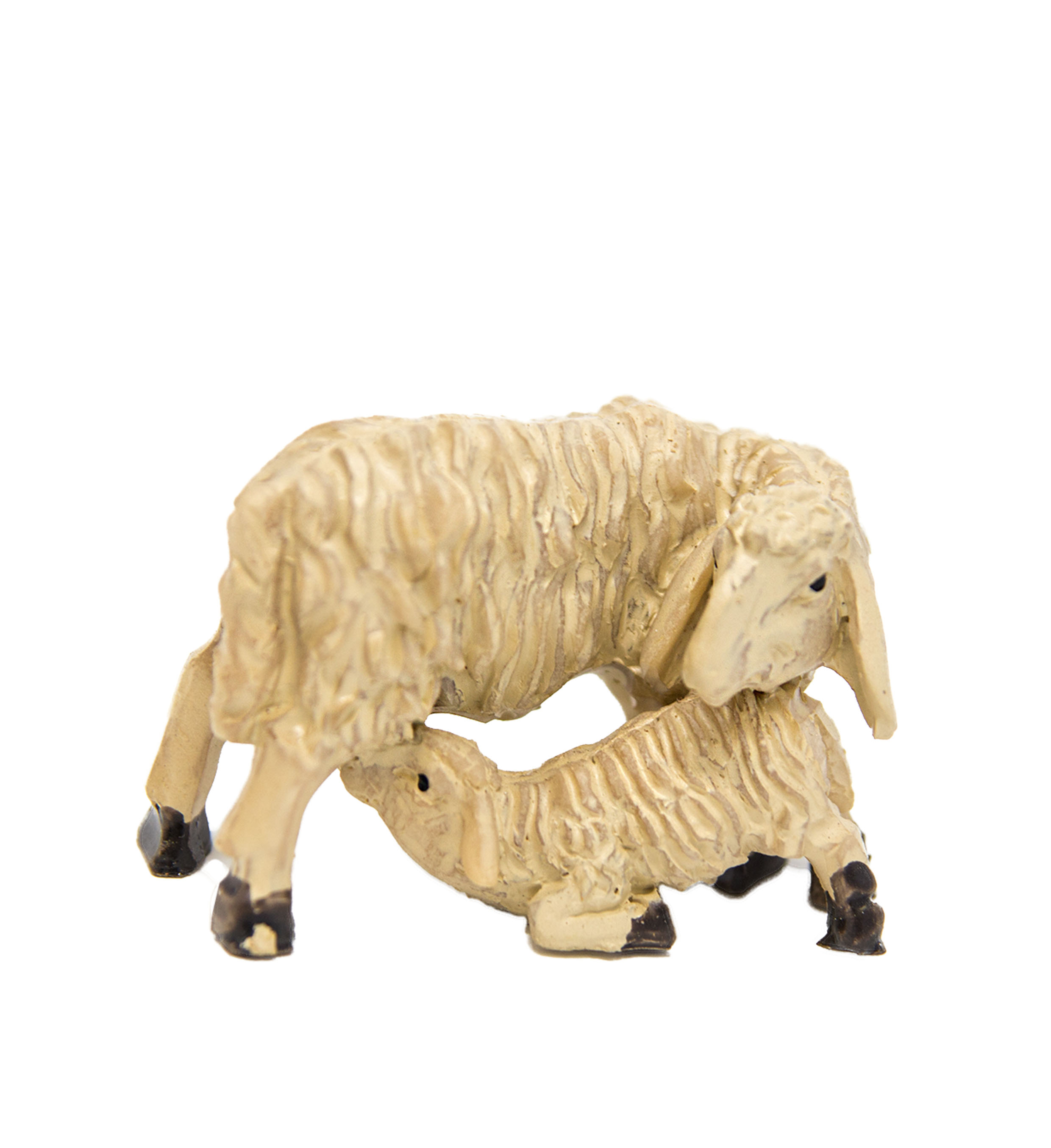 Miniatur-Schafe Mutterschaf