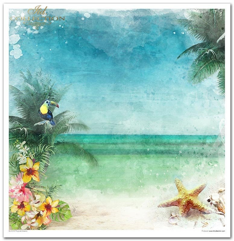 Tropical Dreams Papier-Set 10 Blatt 320x310mm 200g