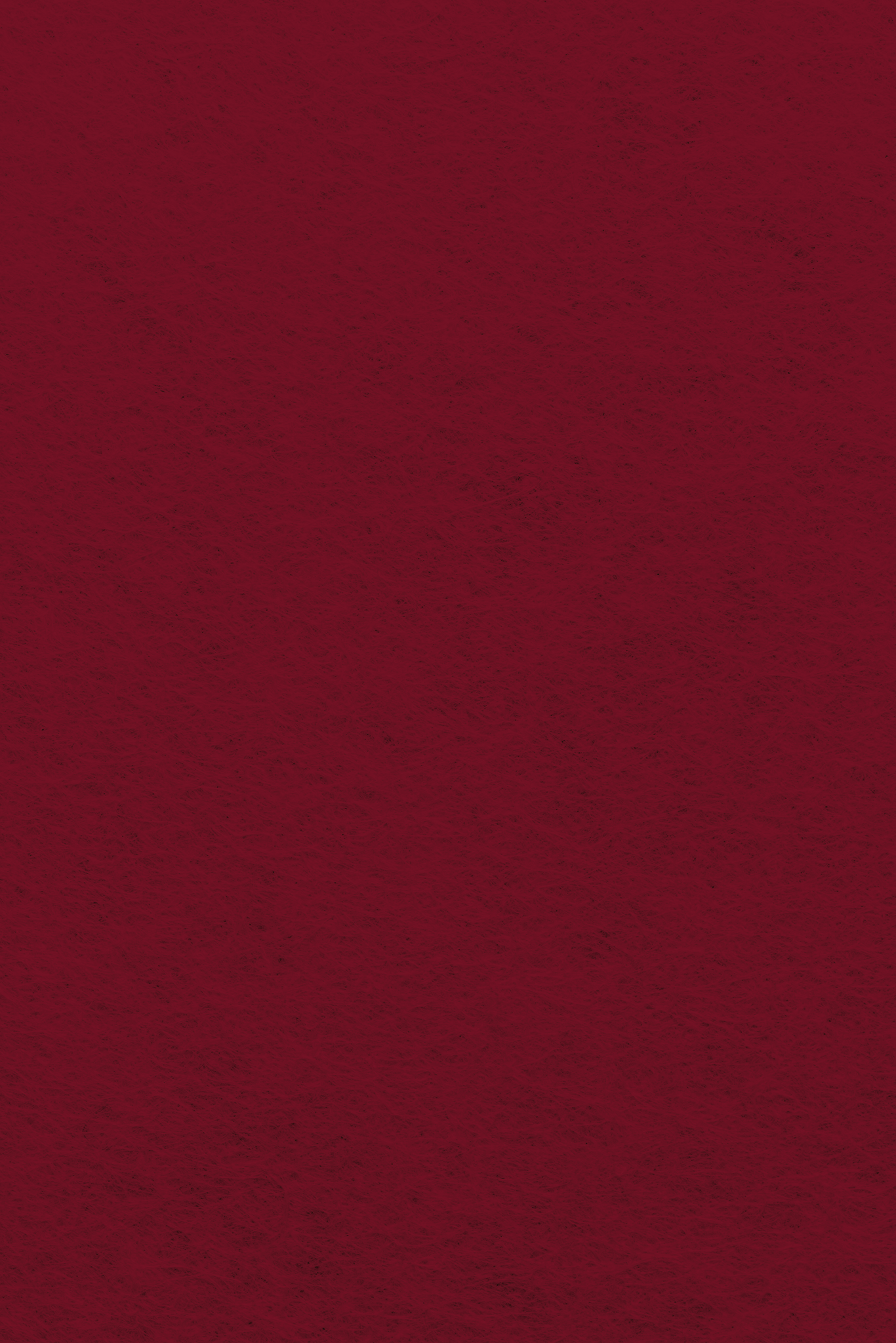 Bastelfilz Zuschnitt BORDEAUX 1mm 20x30cm Bastelfilz Zuschnitt BORDEAUX 1mm 20x30cm