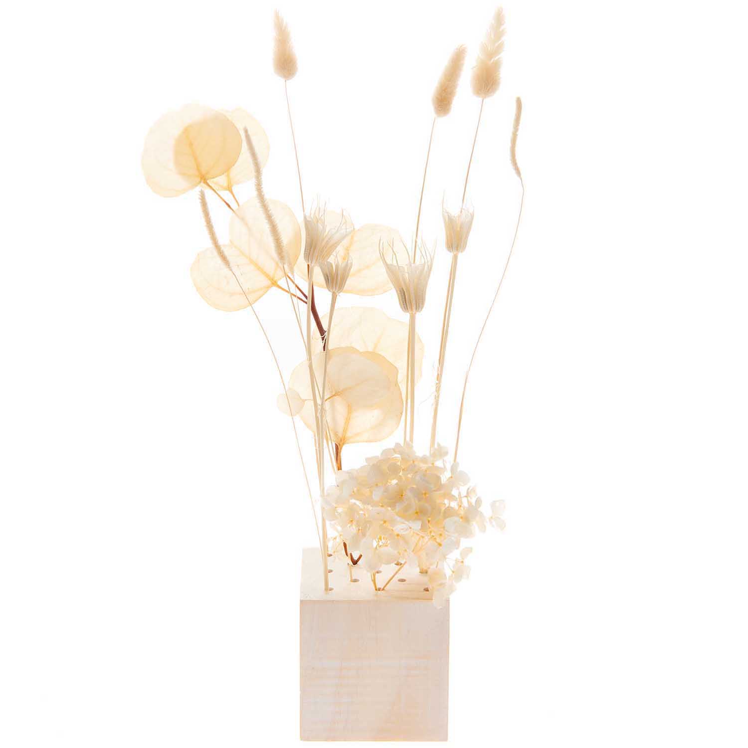 Trockenblumen Set natur weiß 30-35cm