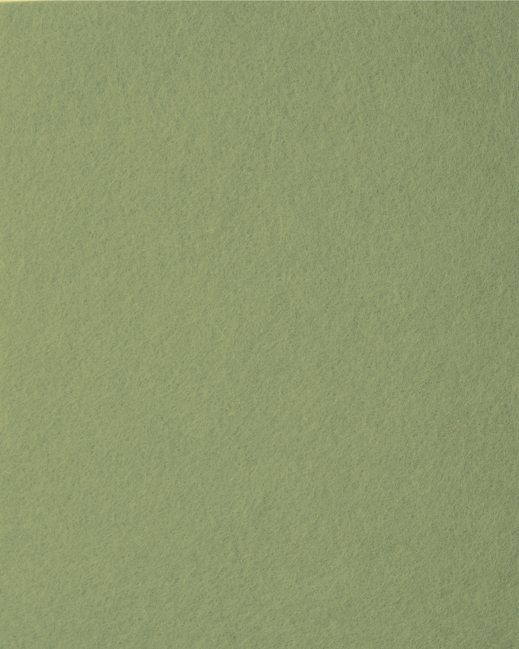 Trendyfilz Filzplatte NATURGRÜN OLIVE 100 % Polyester in leuchtenden Farben 3mm 75x50cm Trendyfilz Filzplatte NATURGRÜN OLIVE 100 % Polyester in leuchtenden Farben 3mm 75x50cm