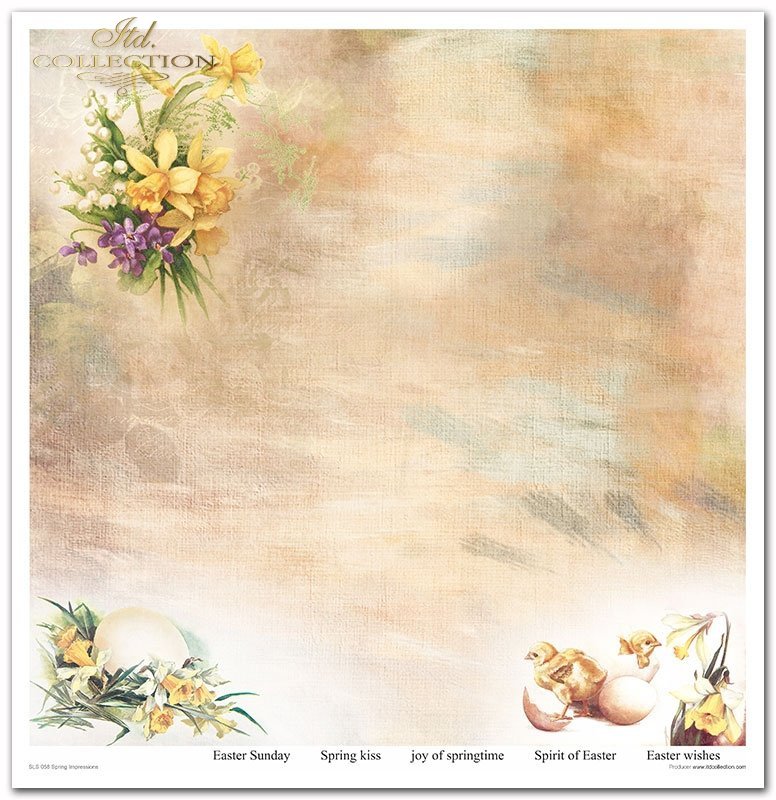 Spring Impressions Papier-Set 10 Blatt 320x310mm 200g