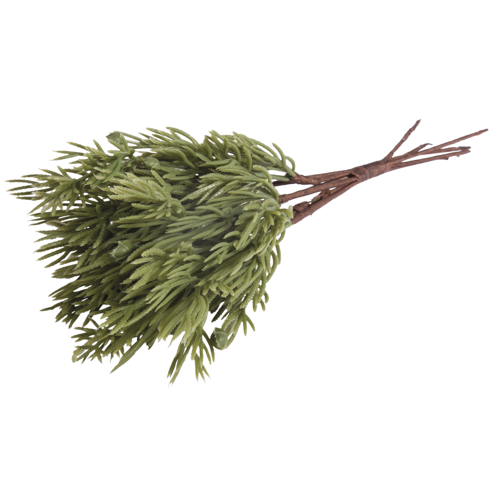 Thuja-Zweige 18cm  Dekozweig 