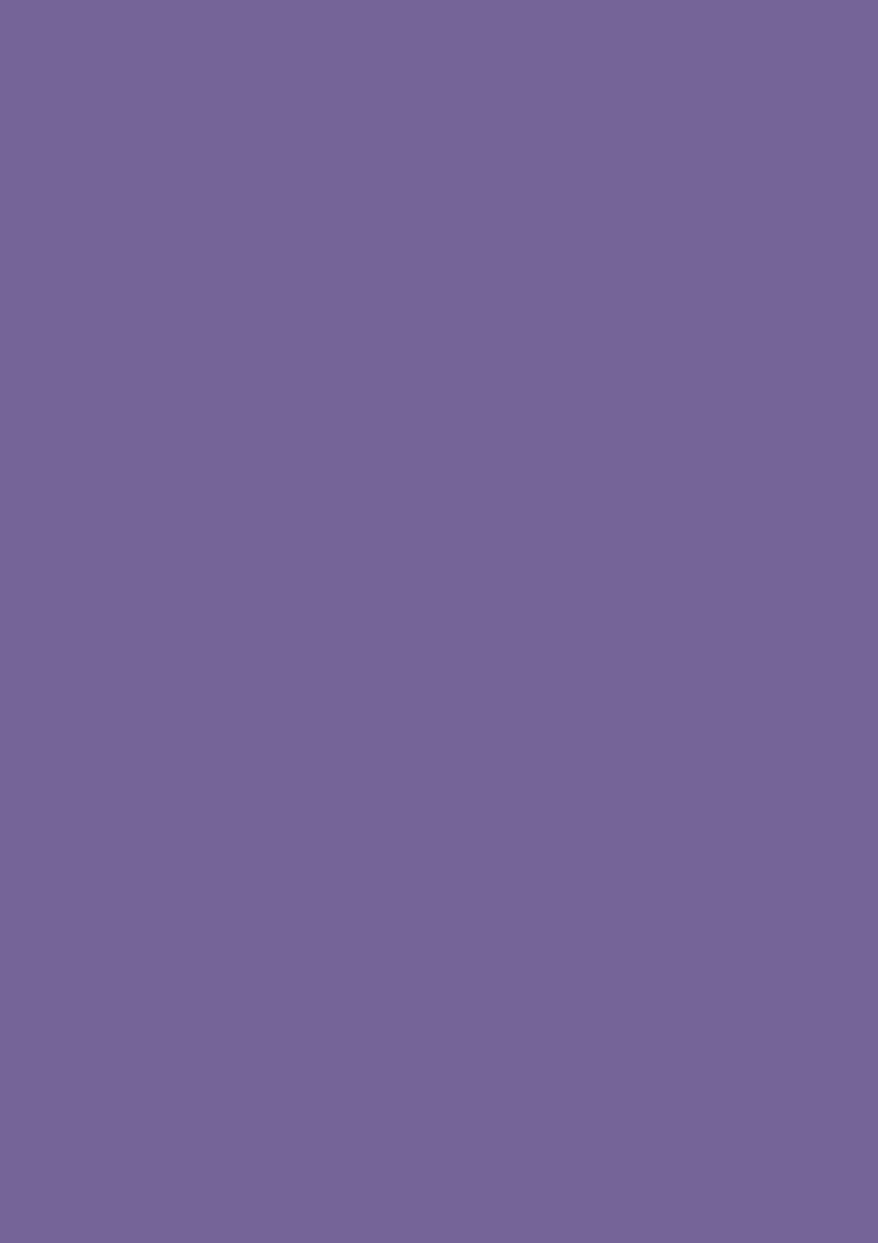 Fotokarton Uni violett 50x70cm 300g 5 Stk./Pkg Fotokarton Uni violett 50x70cm 300g 5 Stk./Pkg