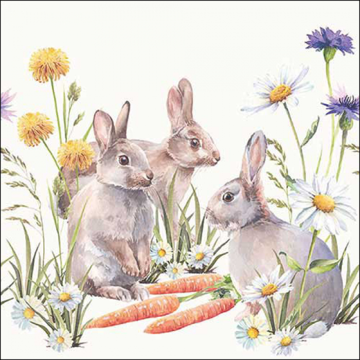 Servietten Carrot Treat 33x33cm 20 Stück 3-lagig 100% FSC 