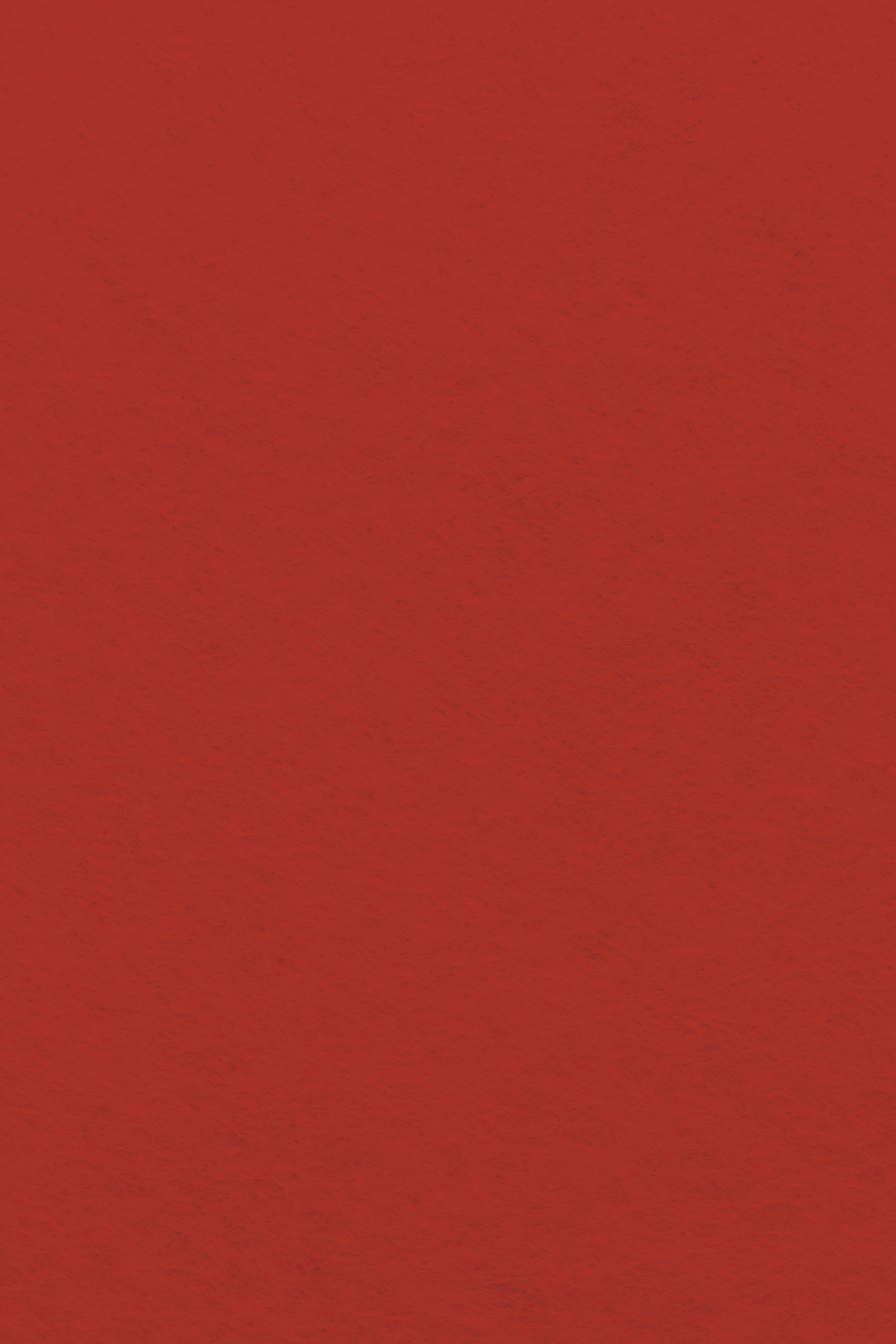 Bastelfilz Zuschnitt ROT 1mm 20x30cm Bastelfilz Zuschnitt ROT 1mm 20x30cm