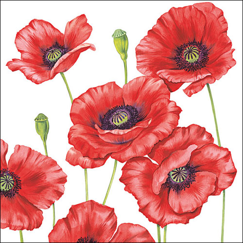 Ambiente Servietten Romantik Poppy Mohnblumen 33x33cm 20 Stück/Packung