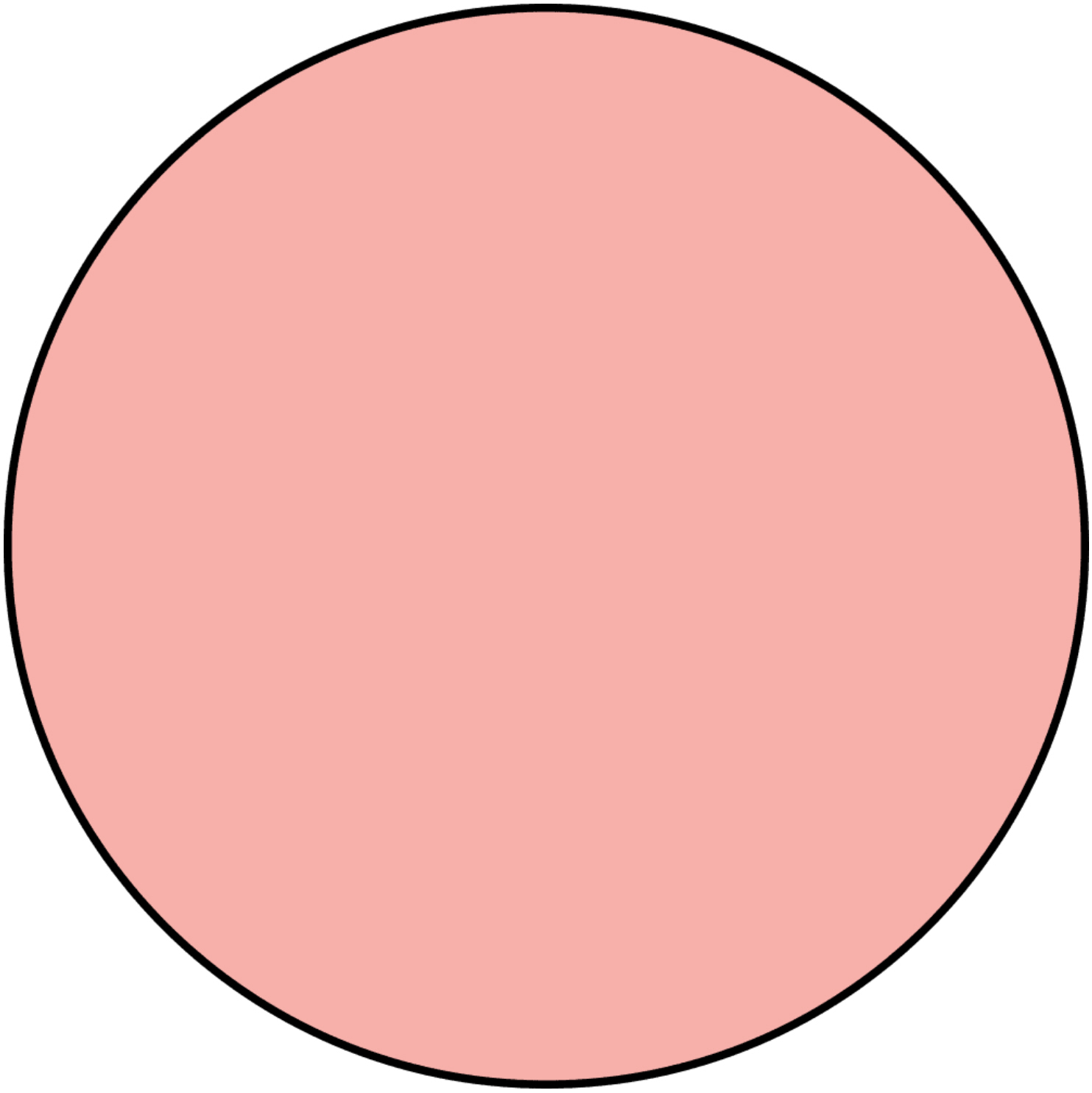 Alkoholtinte Ranger Tim Holtz Salmon 14ml