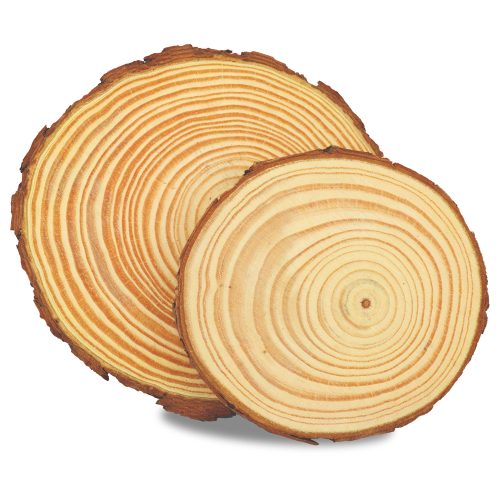 Holzscheiben mit Rinde natur rund ø15cm Stärke 1cm 1 Stück 