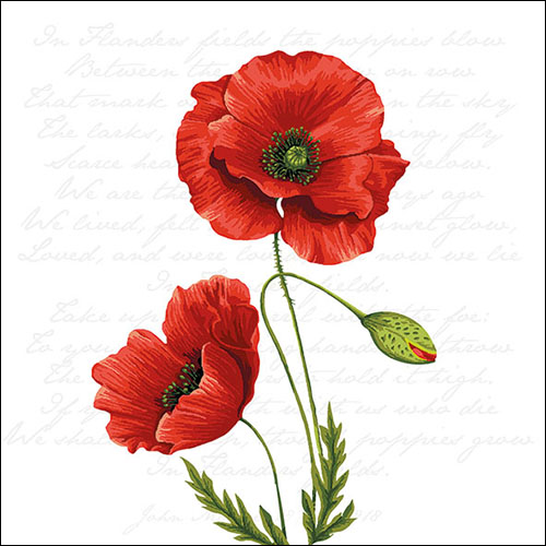 Ambiente Servietten Proud Poppy Mohnblumen 33x33cm 20 Stück/Packung