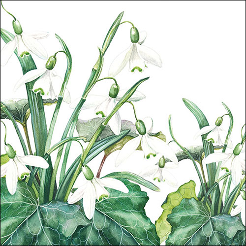 Ambiente Servietten Snowdrops White Schneeglöckchen 33x33cm 20 Stück/Packung