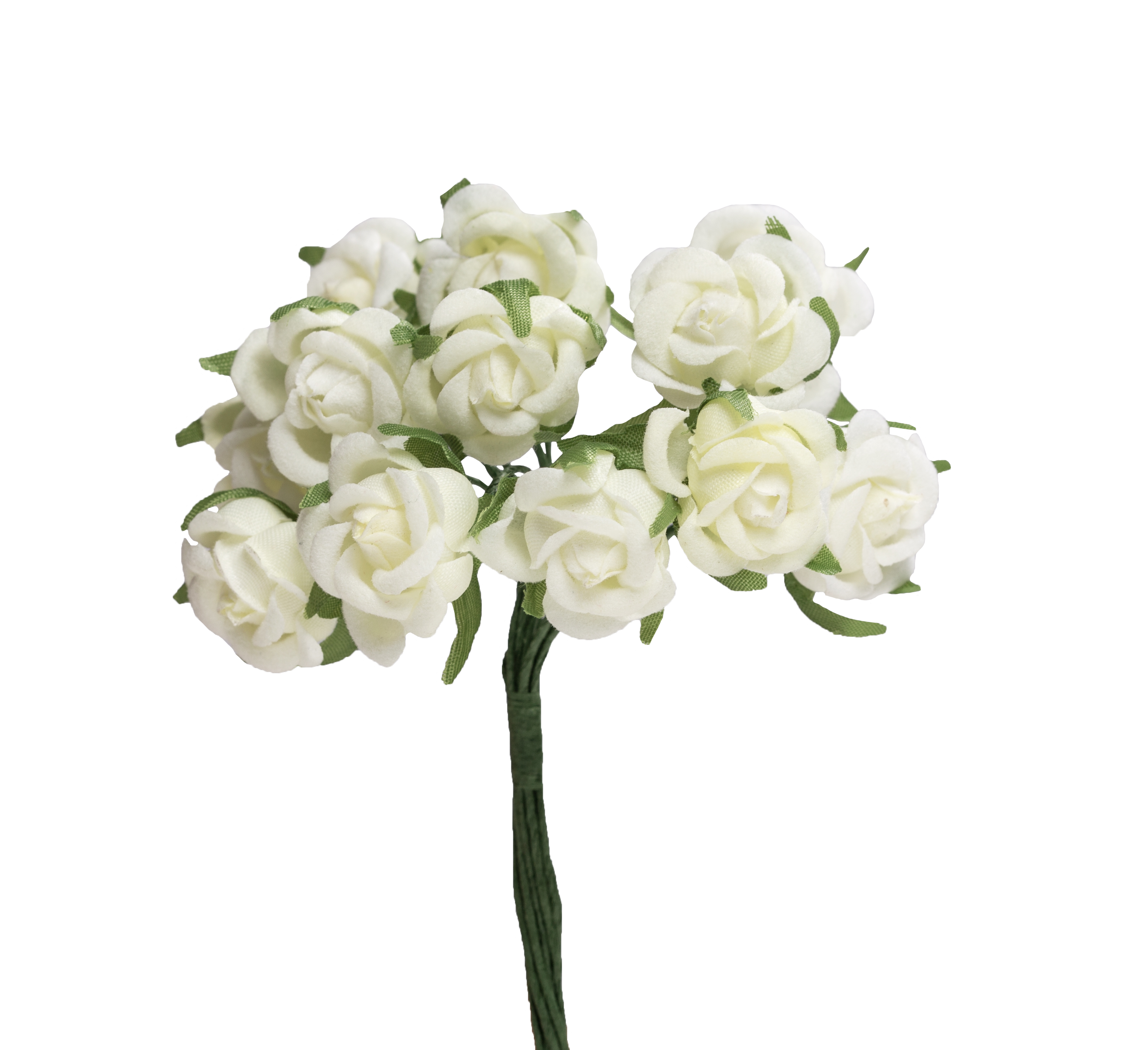Kleinblumen Samtröschen, 22mm, 12 Stk./Bund, creme