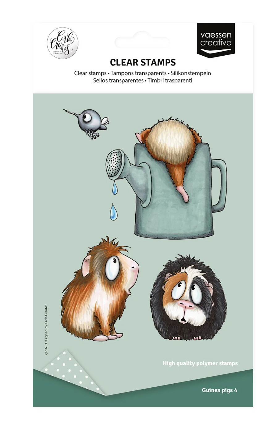 Meerschweinchen 4