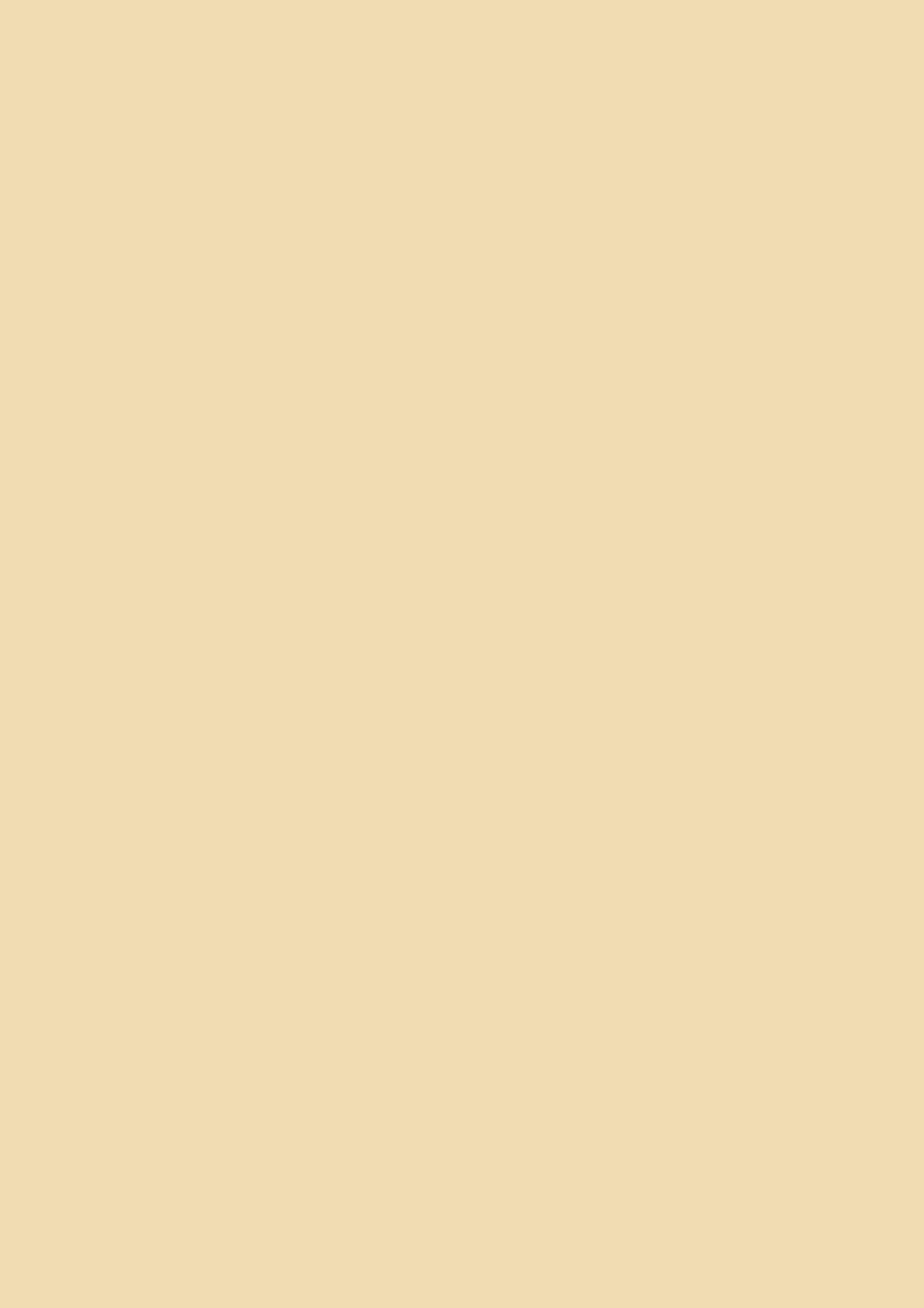 Fotokarton Uni beige 50x70cm 300g 5 Stk./Pkg Fotokarton Uni beige 50x70cm 300g 5 Stk./Pkg
