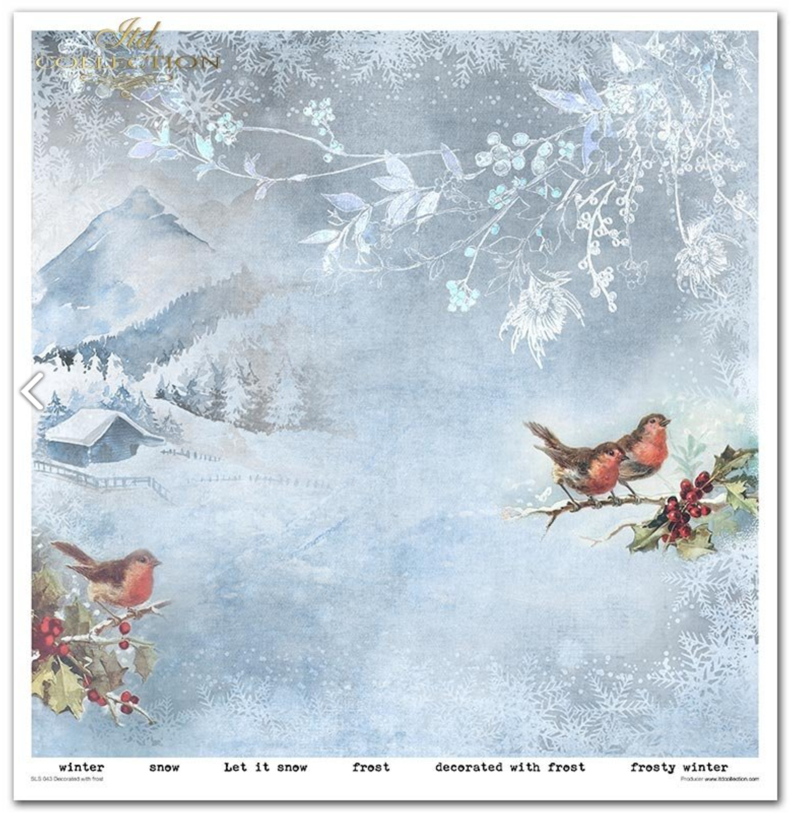 Scrapbooking-Papier Set Decorated with Frost 31x32cm 200 g/m2 11 Blatt 