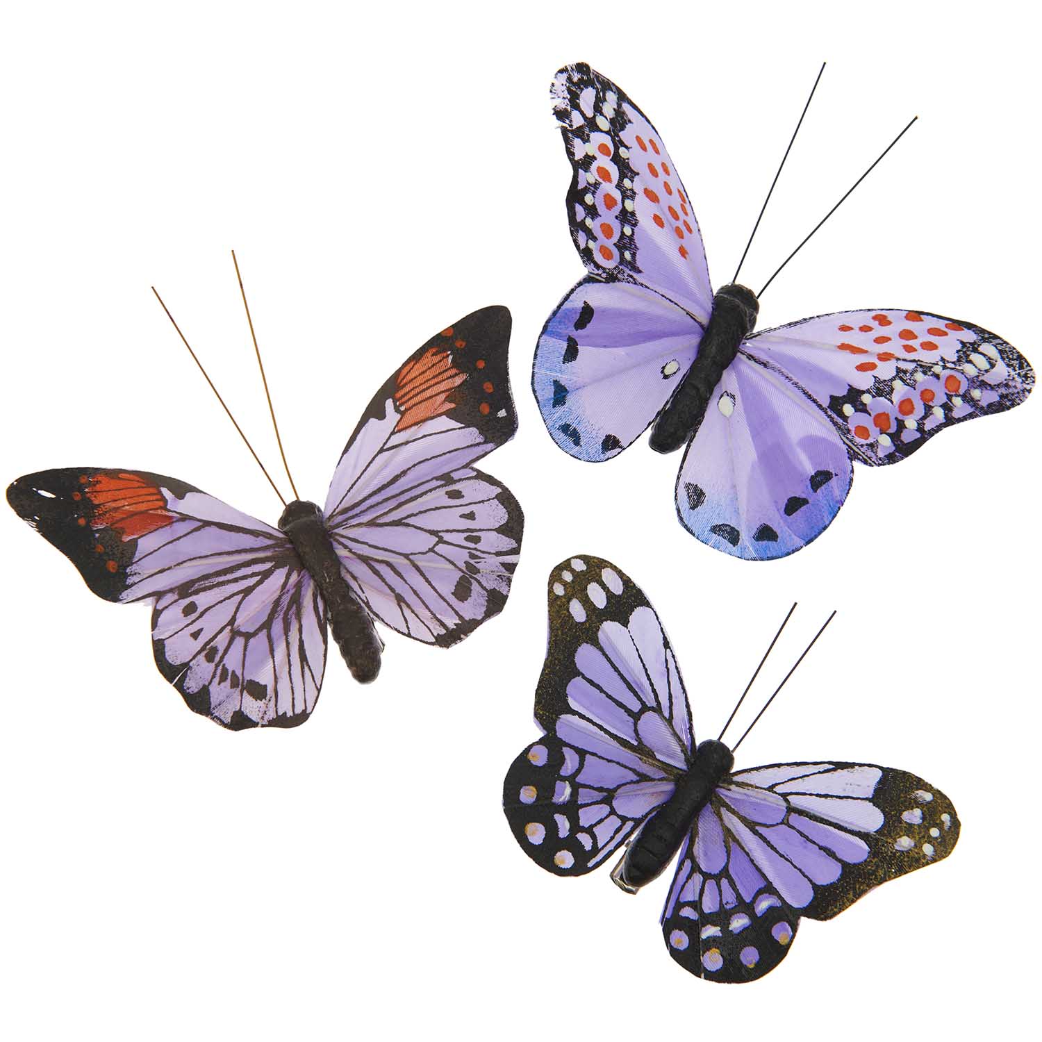 Schmetterlinge violetttöne