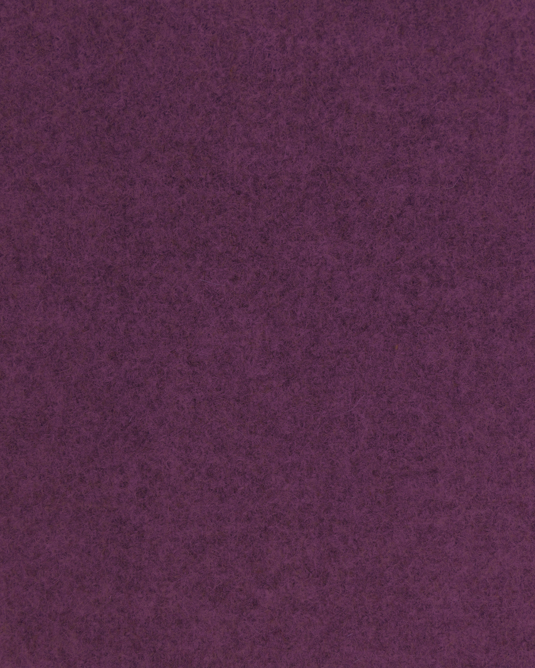 aubergine 