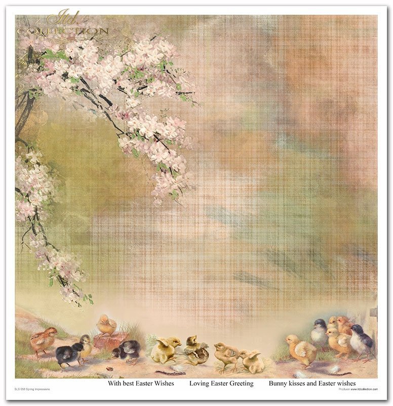 Spring Impressions Papier-Set 10 Blatt 320x310mm 200g