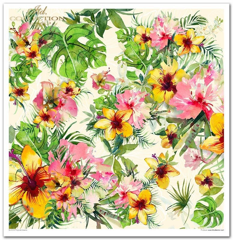 Tropical Dreams Papier-Set 10 Blatt 320x310mm 200g