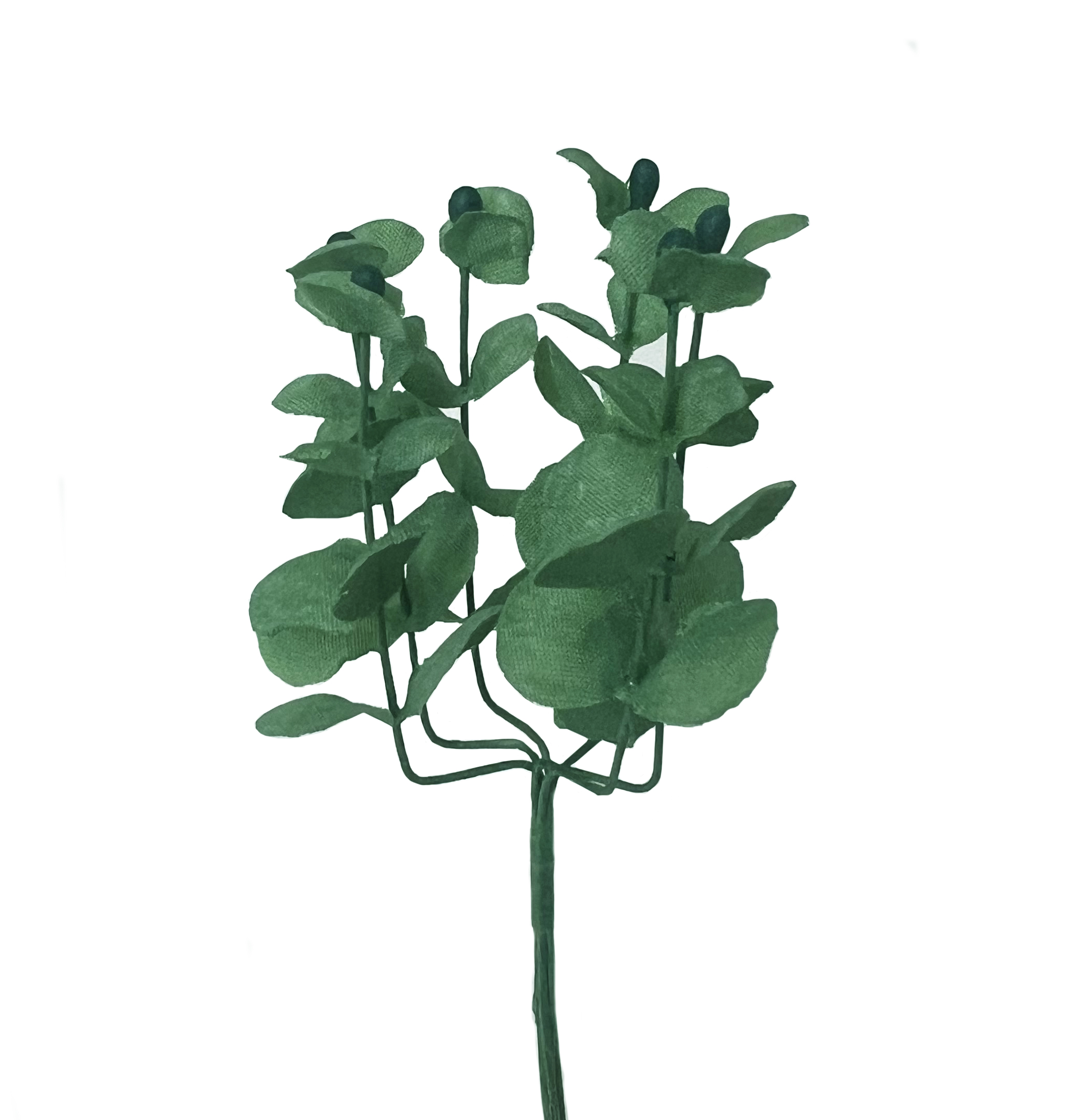 Seiden-Eukalyptus Blatt ⌀ 20 mm Rispe ⬍ 45 mm 1 Bund Seiden-Eukalyptus Blatt ⌀ 20 mm Rispe ⬍ 45 mm 1 Bund