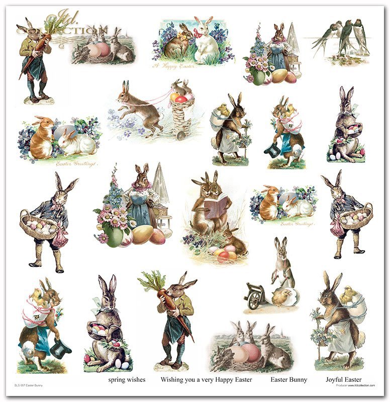 Easter Bunny Papier-Set 10 Blatt 320x310mm 200g