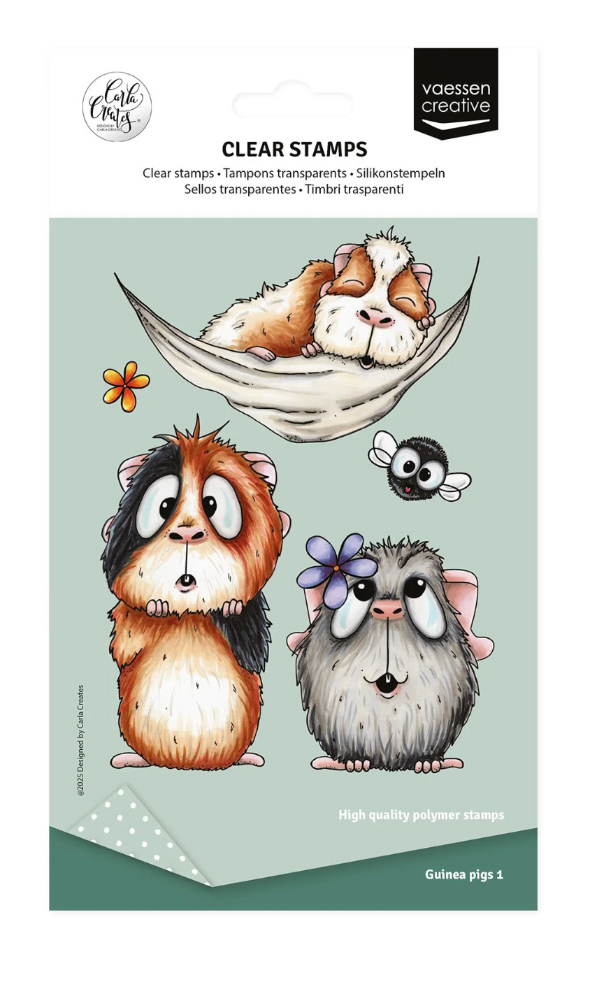 Meerschweinchen 1