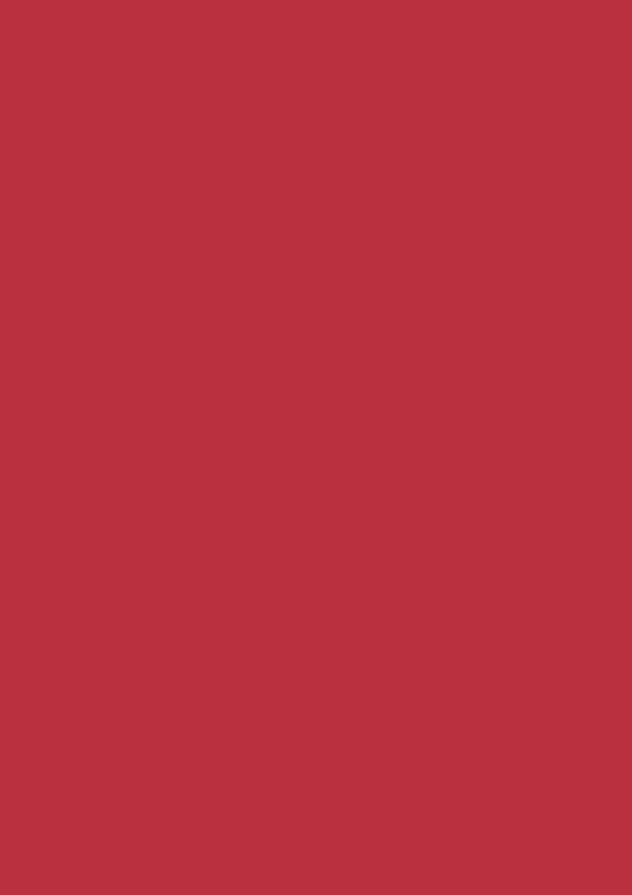 Fotokarton Uni rot 50x70cm 300g 5 Stk./Pkg Fotokarton Uni rot 50x70cm 300g 5 Stk./Pkg