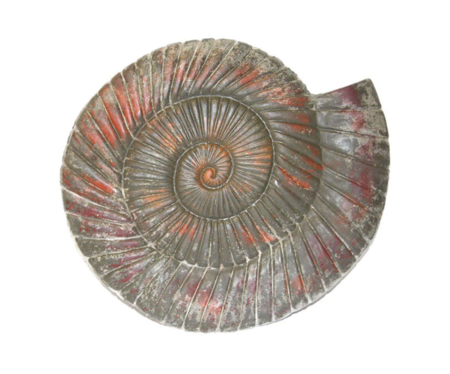 Gießformen für Reliefgießen Ammonit Schneckenform 34x38cm