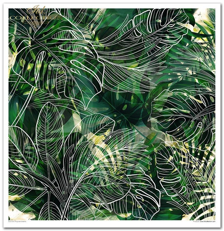 Tropical Dreams Papier-Set 10 Blatt 320x310mm 200g