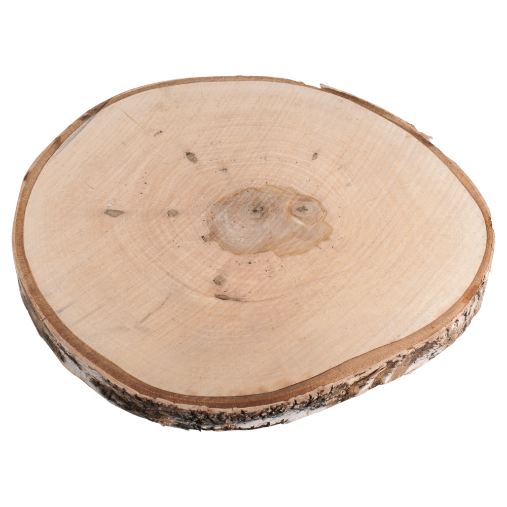 Birkenscheibe 29-32cm Holzscheibe mit Rinde 