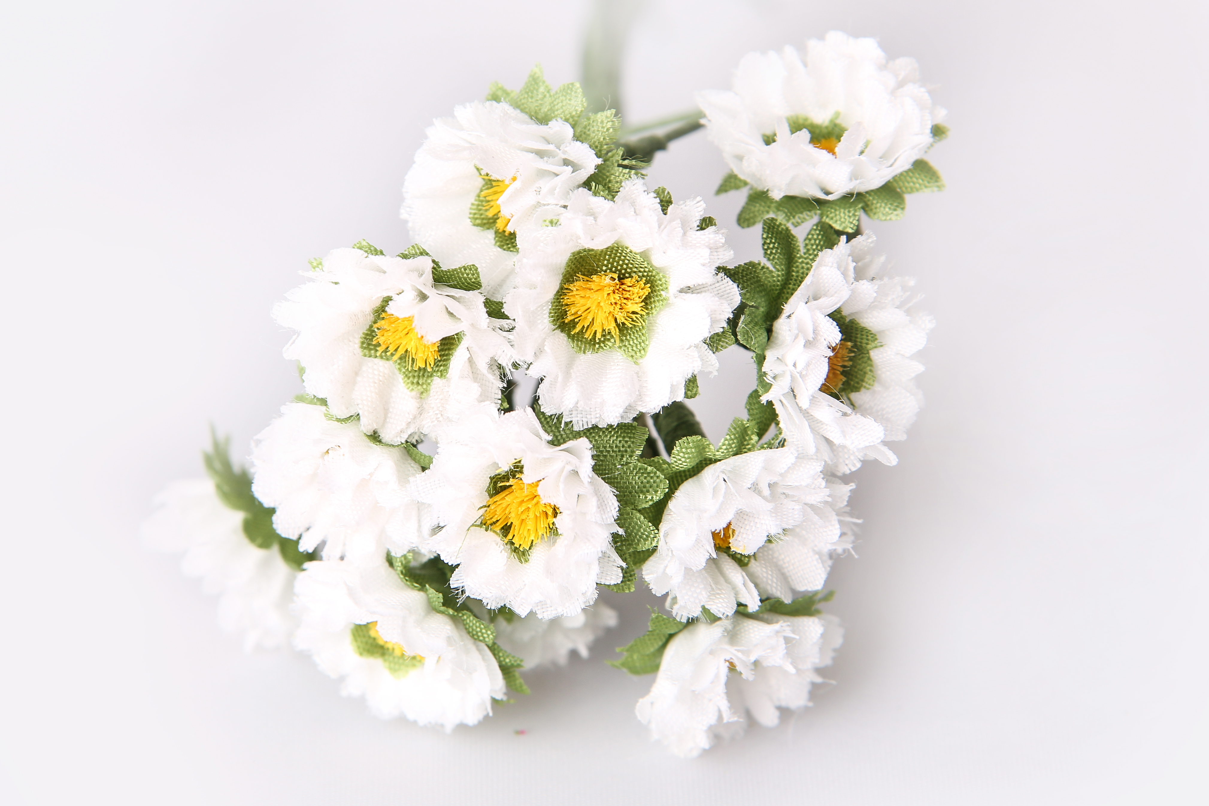 Gänseblümchen im Bund, 12 Stk. Blüte 15 mm