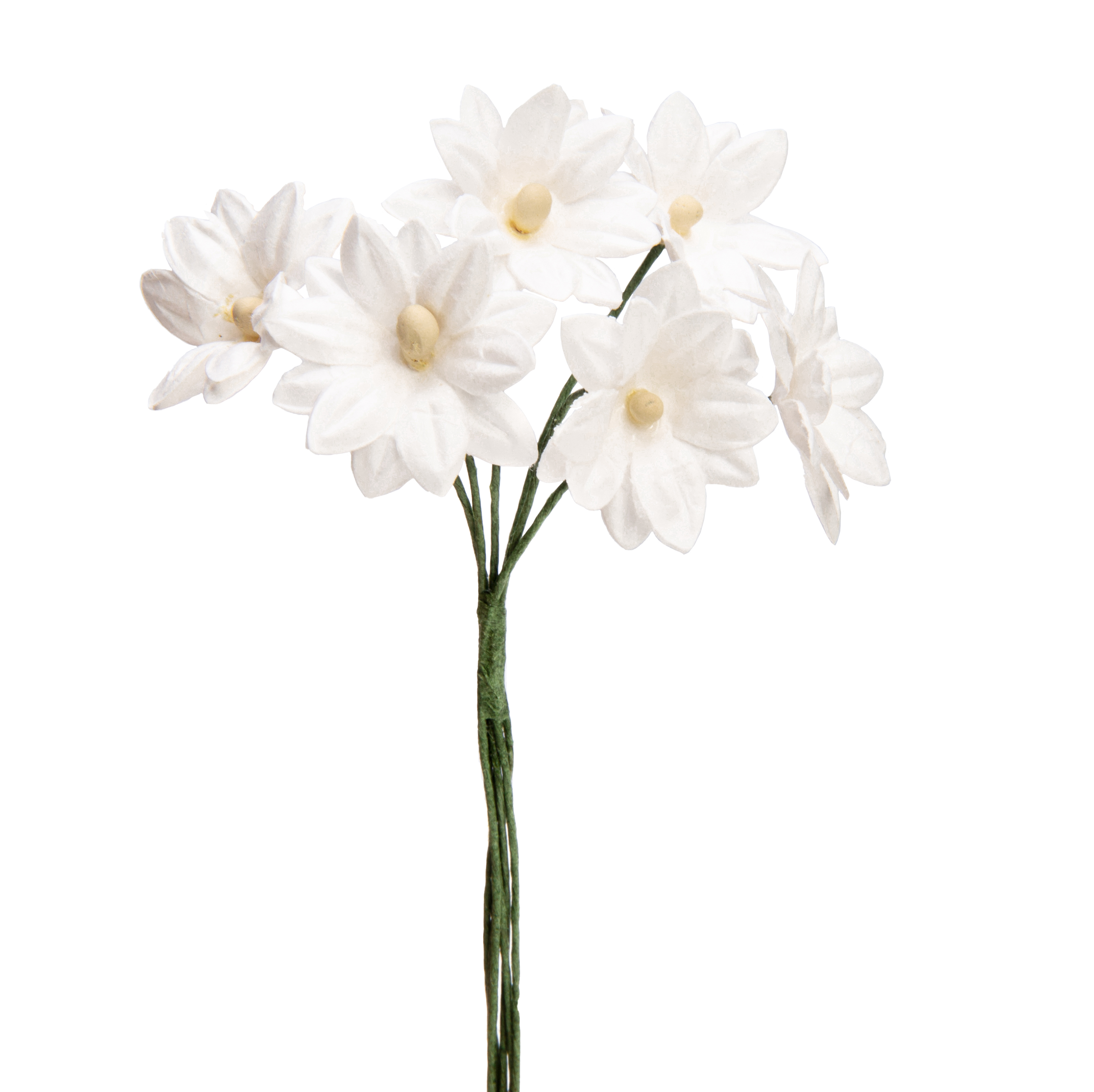 Schönauge Blüte aus Papier  ⌀ 23 mm Drahtstiel  6 Stück/ Bund