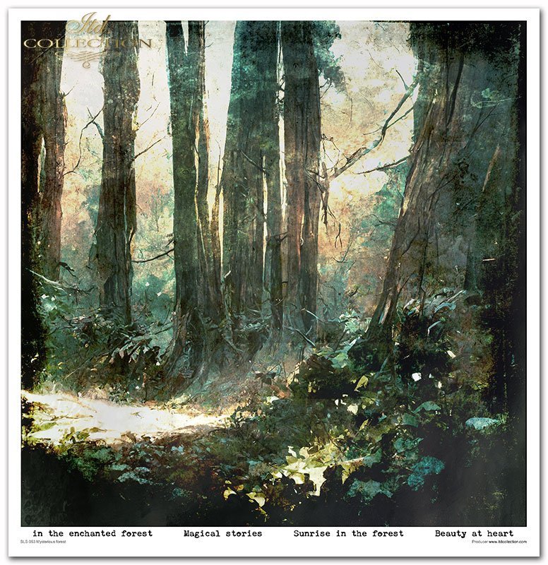 Scrapbooking-Papier Set Mysterious Forest 10 Stk/Pkg. 30x30cm 200g