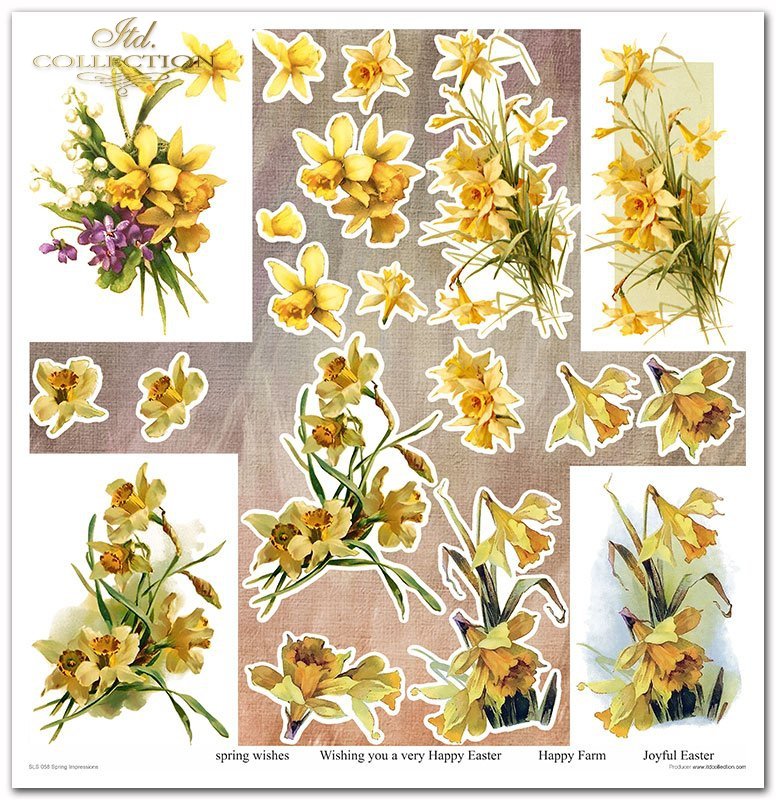 Spring Impressions Papier-Set 10 Blatt 320x310mm 200g