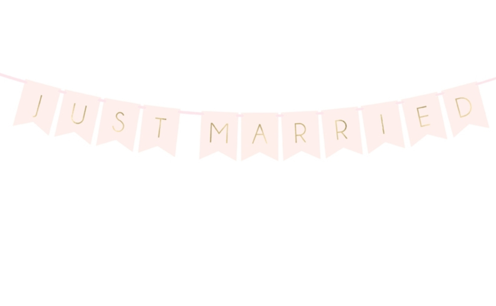 Banner Just Married Wimpelkette Papiergirlande Garland 15x155cm