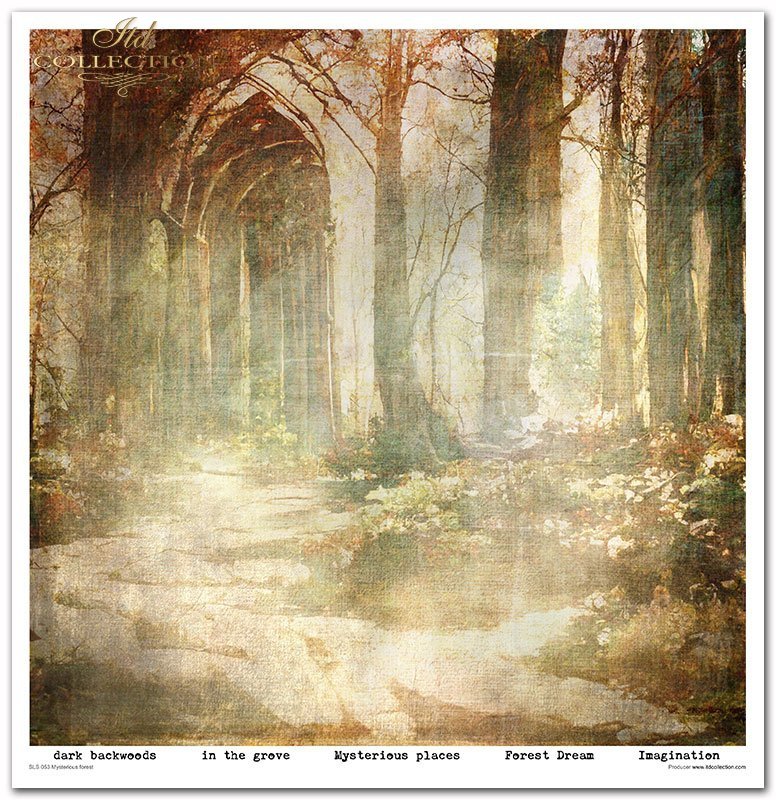 Scrapbooking-Papier Set Mysterious Forest 10 Stk/Pkg. 30x30cm 200g