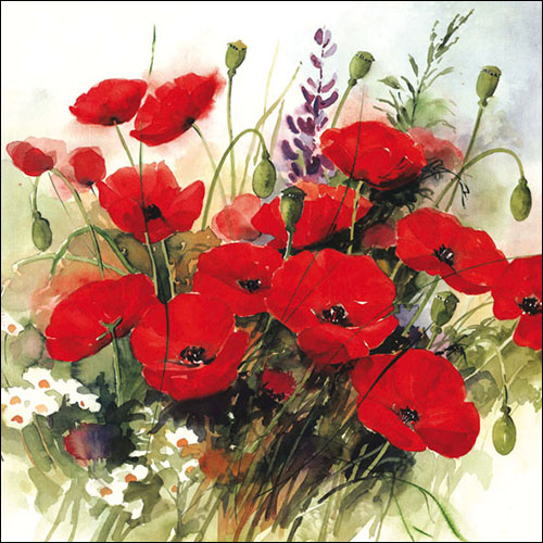 Ambiente Servietten Wild Poppies Mohnblumen 33x33cm 20 Stück/Packung