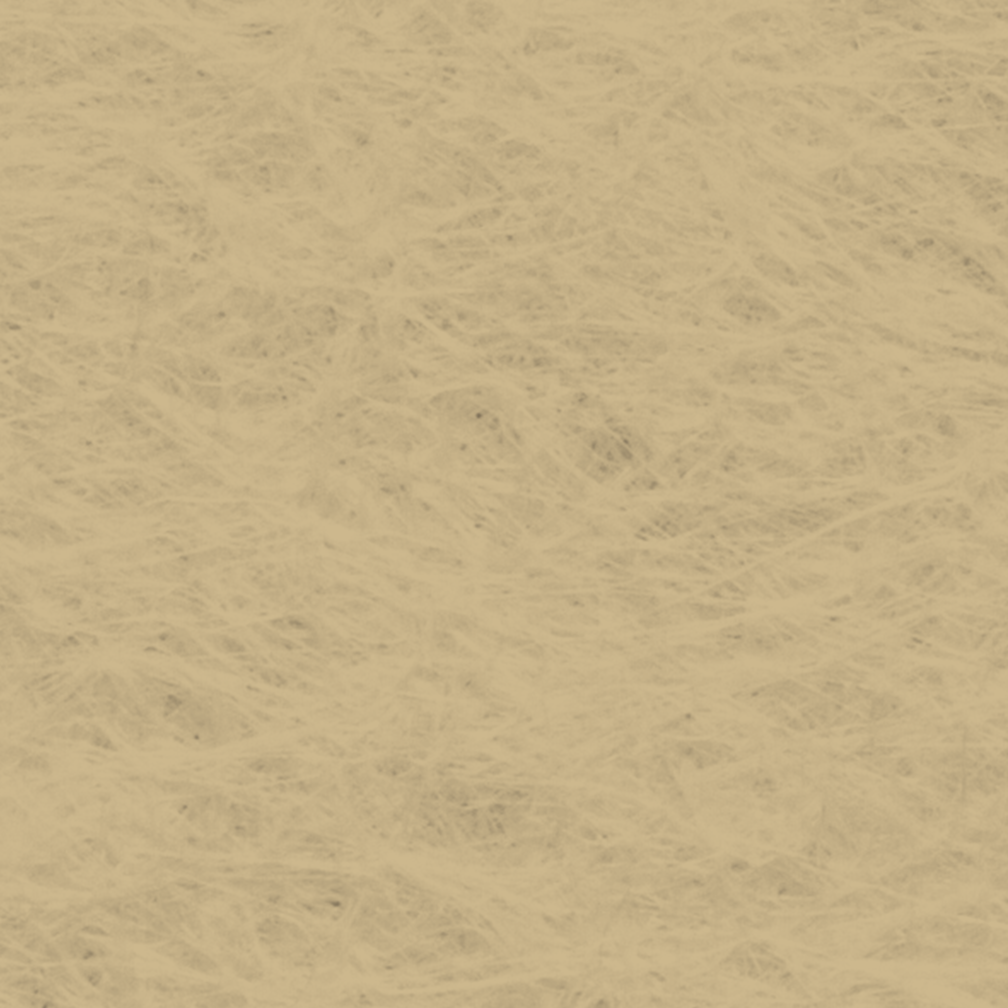 ZS beige