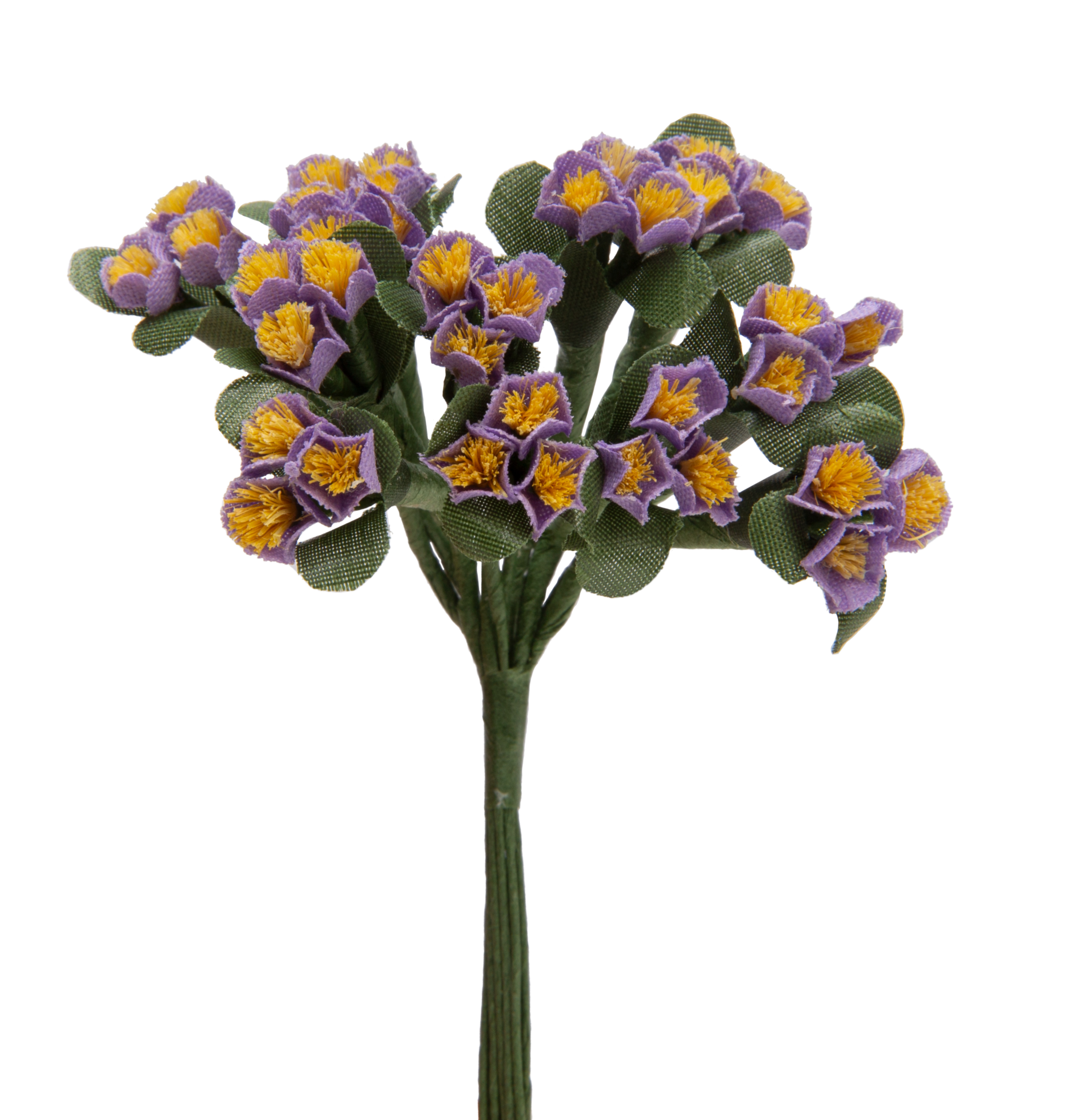 Thymus Blüte ⌀ 8 mm x 3 12 Stück/Bund