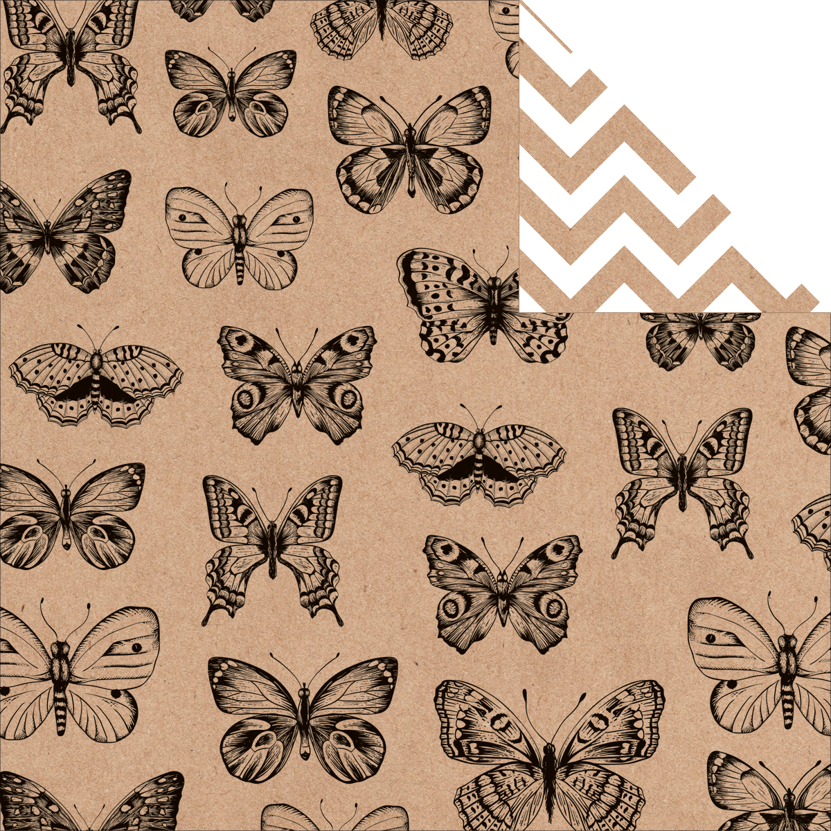 Kaisercraft Butterflies Doppelseitiges Papier Cardstock Mix & Match Collection Scrapbooking Papier  12x12 Inch