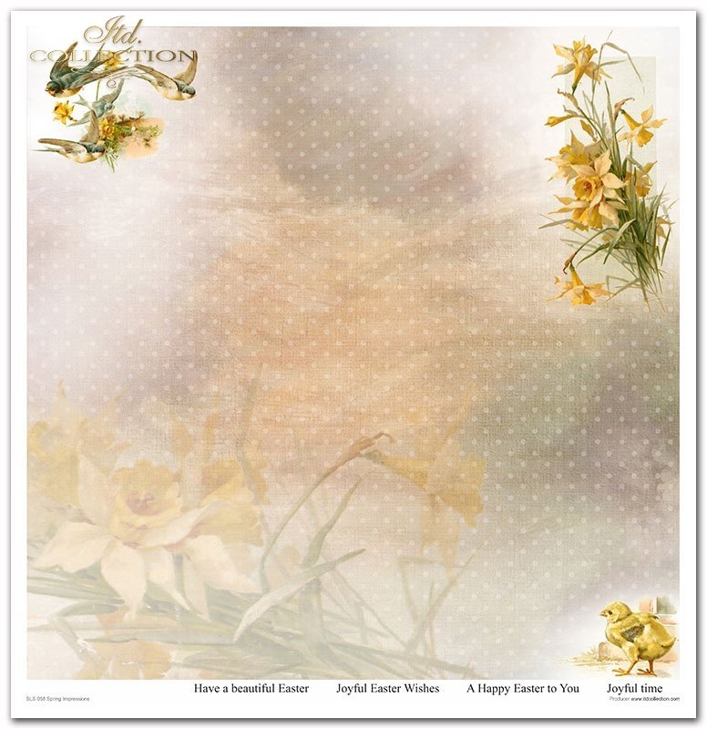 Spring Impressions Papier-Set 10 Blatt 320x310mm 200g