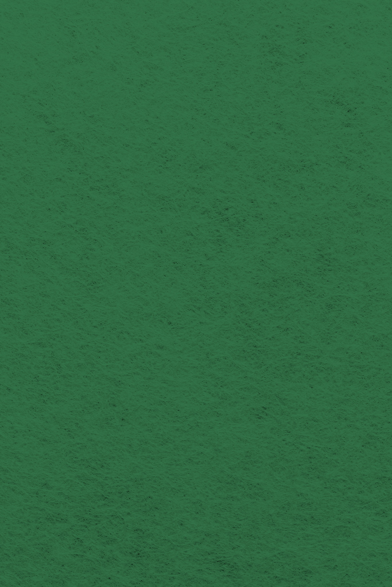 Bastelfilz Zuschnitt SMARAGD 1mm 20x30cm Bastelfilz Zuschnitt SMARAGD 1mm 20x30cm