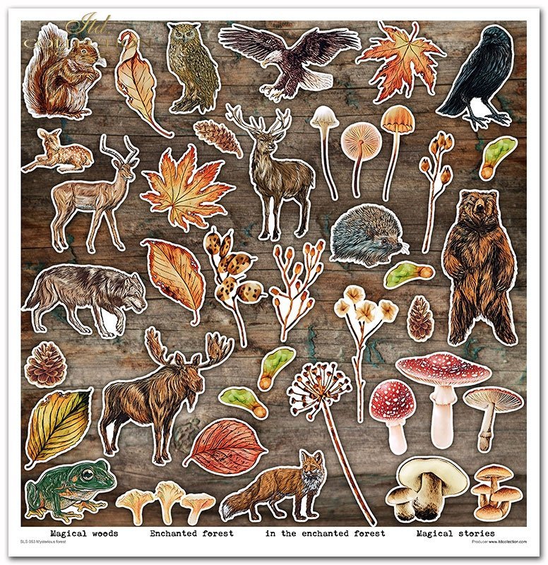 Scrapbooking-Papier Set Mysterious Forest 10 Stk/Pkg. 30x30cm 200g