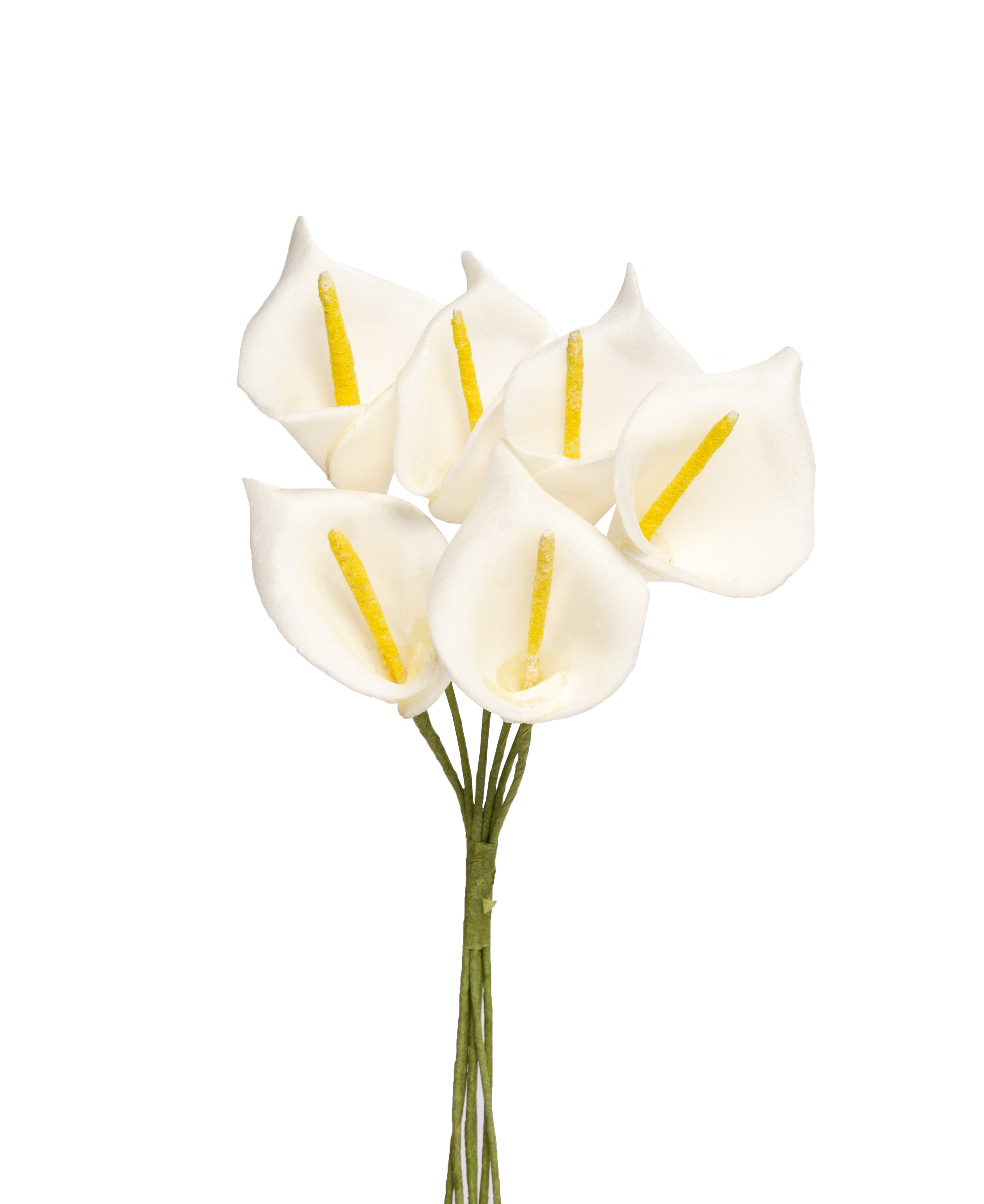 Calla creme 3x15cm 6 Stk. Schaumblume