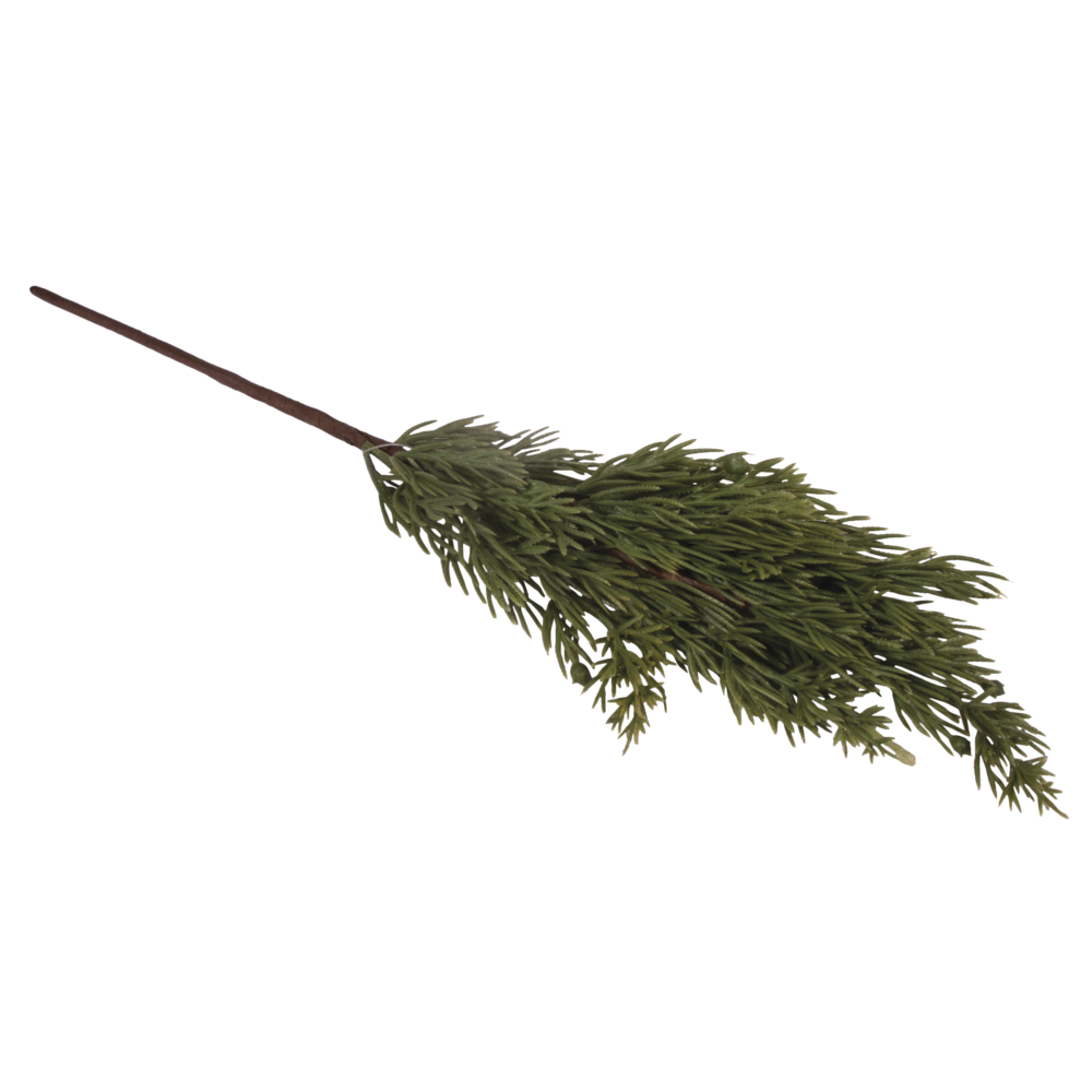 Thuja-Zweig 34cm 