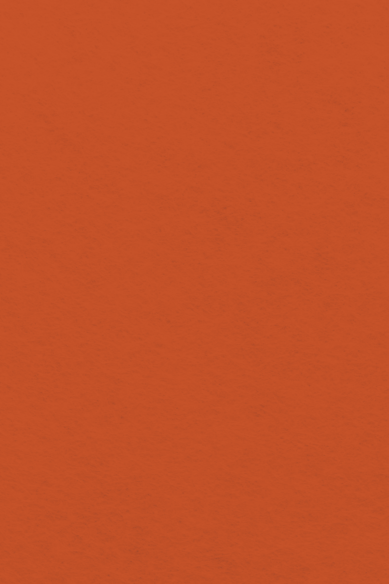 Bastelfilz Zuschnitt ROTORANGE 1mm 20x30cm Bastelfilz Zuschnitt ROTORANGE 1mm 20x30cm