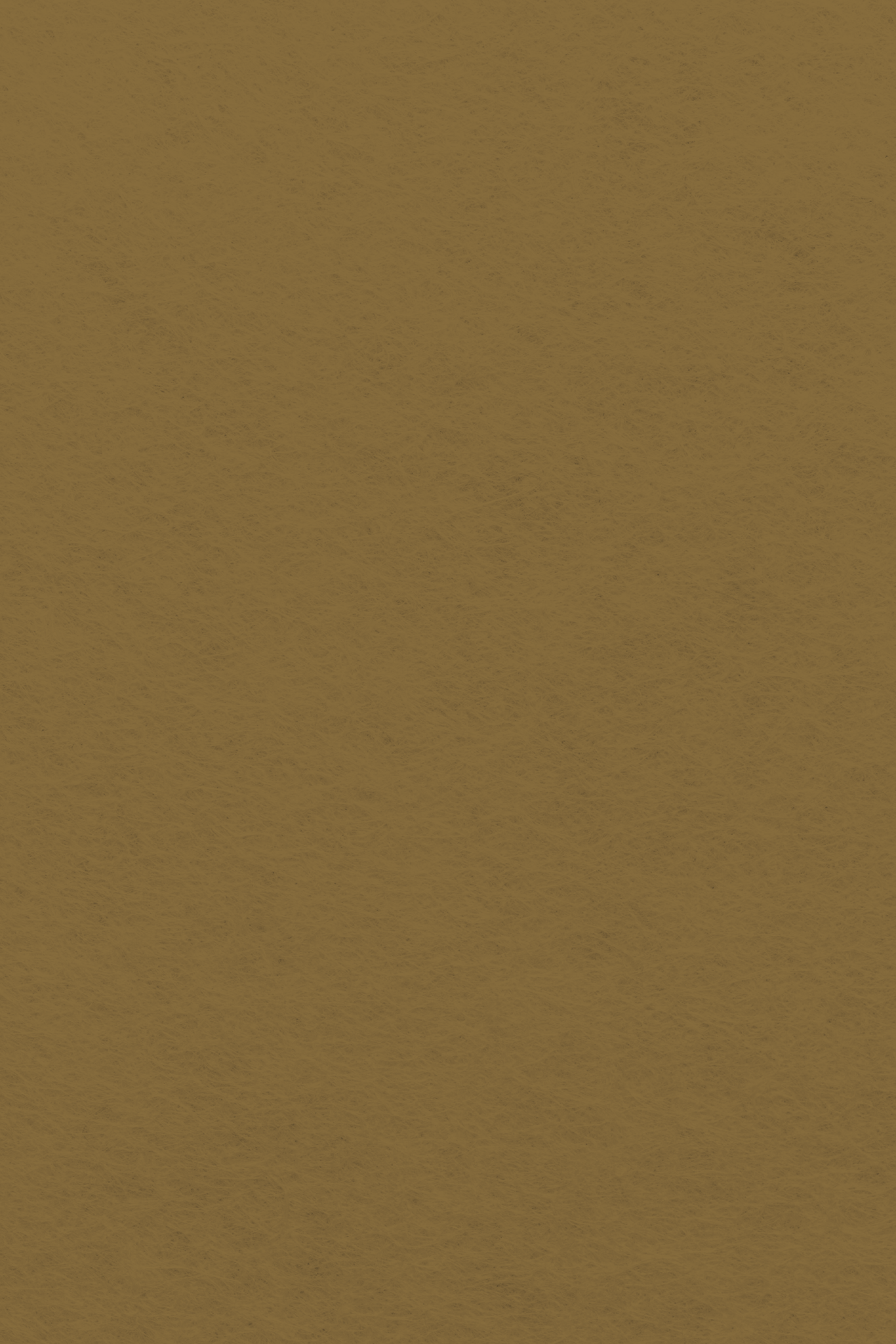 Bastelfilz Zuschnitt SIENA NATUR 1mm 20x30cm